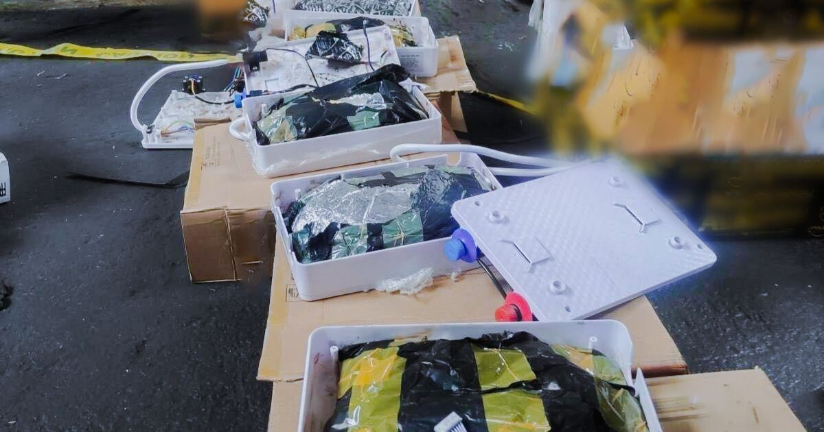 Собака обнаружила отправку наркотиков на сумму 56 миллионов песо в порту Манилы