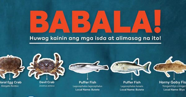 BFAR warns: eating certain fish and crab species can be deadly