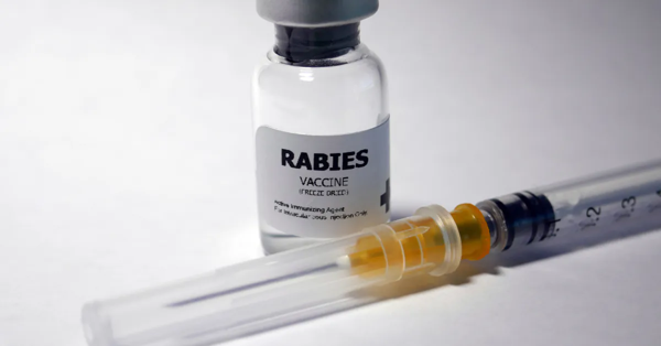 FDA Discovers Counterfeit Anti-Rabies Vaccines in Philippine Pharmacies